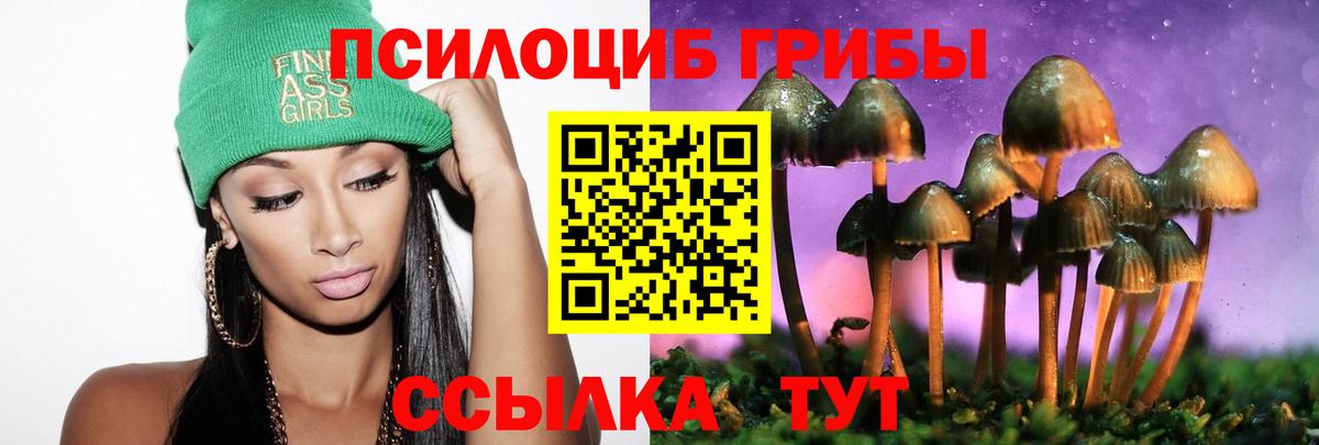 Глазов  Псилоцибиновые грибы ЛСД  Вход с VPN 